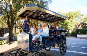 image n.3 of Charleston: Downtown Horse-Drawn Carriage Tour activity in Charleston, uploaded by supplier
