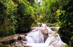imagem n.4 de Ochos Rios: Dia inteiro em Dunn's River e Blue Hole com almoço atividade em Ocho Rios, carregada pelo fornecedor
