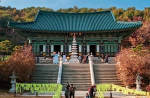 image n.4 of Balwangsan Day Tour: Forest Trails & Scenic Highland Views activity in Gangwon Province, uploaded by supplier