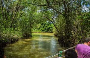 imatge núm.3 de l'activitat de Sabana de la Mar: Los Haitises, cascades i excursió a la muntanya a Província de Puerto Plata, penjada pel proveïdor