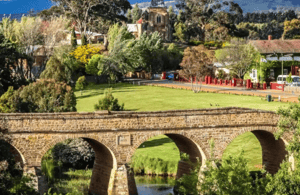 image n.3 of Hobart: Shore Excursion, Sights Wildlife Sanctuary and Lunch activity in Hobart, uploaded by supplier
