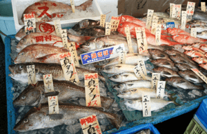 image n.3 of Niigata Private Custom Tour with Local Guide activity in Chubu Region, uploaded by supplier