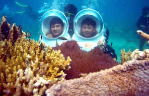 зображення №4 активності «Екскурсії по Червоній річці - морські прогулянки на острові Фукуок» в такій локації: An Thoi, острів Фукуок, завантажене постачальником