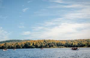 image n.3 of Toronto: Algonquin Park and Ragged Falls Day Trip activity in Ontario, uploaded by supplier