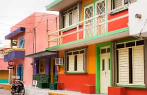 image n.4 of From Cancun: Isla Mujeres Snorkeling & Beach Boat Day Tour activity in Cancún, uploaded by supplier