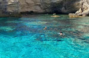 Immagine nº 3 di Palau o La Maddalena: Corsica meridionale Tour di 4 ore in gommone RIB attività a Corsica, caricata dal fornitore