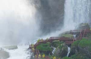 image n.4 of From NYC: Guided Niagara Falls Full-Day Trip activity in Niagara Falls, USA, uploaded by supplier