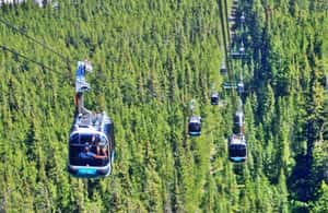 image n.3 of Louise Louise, Banff Gondola, Minnewanka & Emerald Lakes activity in Banff, uploaded by supplier