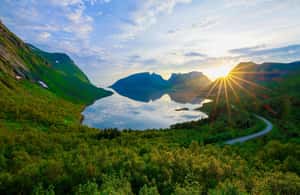 bilde nr.4 av Fra Tromsø:（Kinesisk） Dagstur til Senja aktivitet i Barentshavet, lastet opp av leverandør