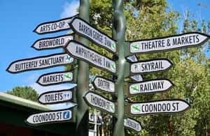 image n.4 of Cairns: Small Group Kuranda Tour via Skyrail and Scenic Rail activity in Smithfield, Queensland, uploaded by supplier
