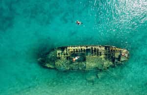 billede nr.4 af aktiviteten Fra Trogir og Split: Privat heldagstur i Split, uploadet af udbyder