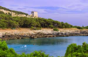 Immagine nº 3 di Gallipoli - Porto Selvaggio Torre Uluzzo Tour in barca +Aperitivo attività a Lecce, caricata dal fornitore