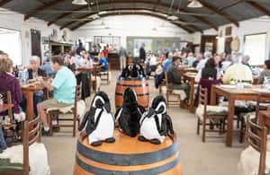 image n.4 of Cruise Shore Exc. Ea San Lorenzo (Penguins) Lunch Included activity in Argentina, uploaded by supplier