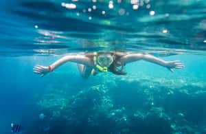 image n.4 of La Paz: Coral Farm Snorkel Tour activity in La Paz, Mexico, uploaded by supplier