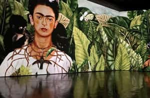 gambar no.3 daripada Amsterdam: Frida Kahlo Immersive & Pameran Foto aktiviti di Amsterdam, dimuat naik oleh pembekal 