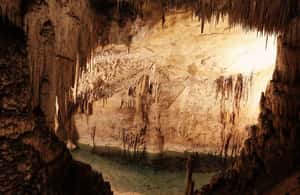 Bild Nr. 4 von Führung durch die Grotten von Castellana Aktivität in Castellana Grotte, hochgeladen vom Anbieter