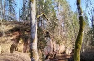 image n.3 of From Riga: Ligatne Village and Gauja River National Park … activity in Līgatne, uploaded by supplier