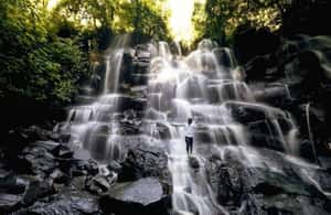 image n.3 of Ubud: Waterfalls, Water Temple & Rice Terraces Private Tour activity in Bali, uploaded by supplier