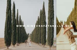 imatge núm.4 de l'activitat de Val D'Orcia: Fotògraf professional a Florència, penjada pel proveïdor