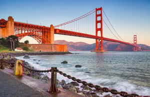 image n.3 of San Francisco: Alcatraz Island & 48-Hour Hop-On Hop-Off Tour activity in San Francisco, uploaded by supplier