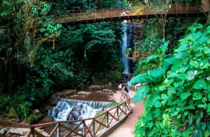 รูปภาพที่ 4 จาก Oxapampa: Rio Tigre - น้ำอเมซอนและป่า กิจกรรมใน อ็อกซาปัมปา อัปโหลดโดยซัพพลายเออร์