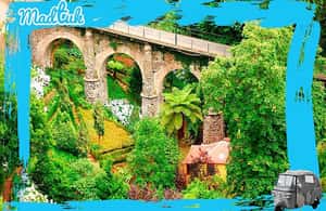 image n.3 of Madeira: Monte Toboggan + Old Town Tuk-Tuk Tour by MadTuk activity in Funchal, uploaded by supplier