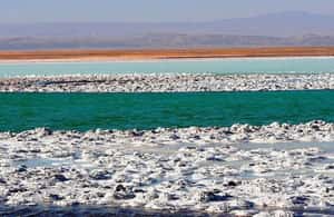 รูปภาพที่ 4 จาก ซาน เปโดร เดอ อตาคามา: ทัวร์ทะเลสาบ Salar de Atacama กิจกรรมใน ชิลีตอนเหนือ อัปโหลดโดยซัพพลายเออร์