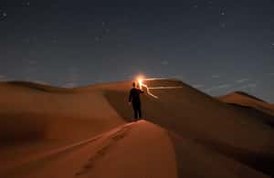 image n.4 of Doha: Night Desert Safari, Stargazing, Dune Driving &Inland activity in Qatar, uploaded by supplier