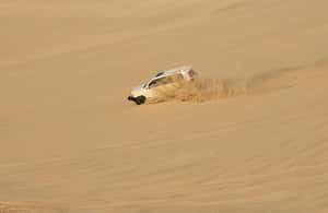 image n.4 of Doha: Safari, Camel Ride, Sandboarding and Inland Sea Tour activity in Qatar, uploaded by supplier