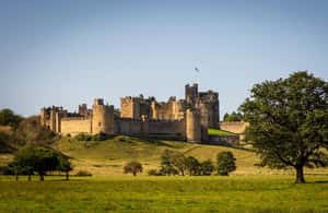 image n.4 of Northumberland Castles & Coast Online Road Trip Travel Guide activity in Alnwick, uploaded by supplier