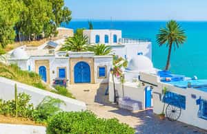 Image N°4 de Combo 3 jours : Visite culturelle de la Tunisie (sans hébergement) activité à El Jem, publiée par le prestataire