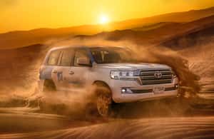 サプライヤーによってアップロードされた、ドバイのドバイアドベンチャーサファリ、クワッドバイク、ラクダ乗り、リフレッシュメントの画像#3