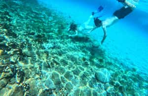 image n.3 of Chalkidiki: Snorkeling Adventure in Sithonia activity in Sithonia, uploaded by supplier
