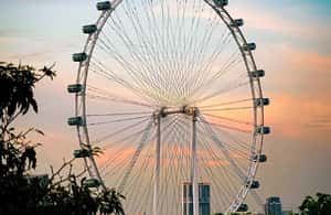 Immagine nº 3 di Singapore: biglietto d'ingresso Singapore Flyer attività a Singapore, caricata dal fornitore