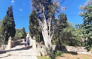 Εικόνα 3 από Μαγιόρκα: Formentor - ΓΕΡΜΑΝΙΚΑ δραστηριότητα σε Πολένκα, ανέβηκε από πάροχο