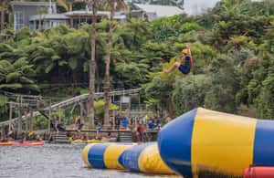 image n.3 of تاورانجا: تذكرة دخول إلى متنزه Waimarino Adventure Park Supreme activity in تورانجا, uploaded by supplier
