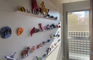 Image N°4 de Tokyo : Origami pour les familles et les débutants à Asakusa activité à Tokyo, publiée par le prestataire