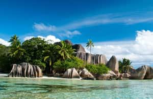 image n.4 of From Mahe eden island to Praslin & Ladigue Daytrip activity in Grand Anse, uploaded by supplier