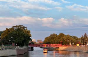 image n.4 of Night tour through Wroclaw activity in Wroclaw, uploaded by supplier