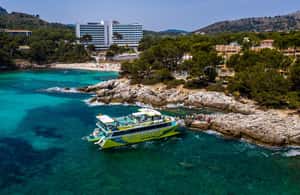 image n.4 of From Sa Coma: East Coast Glass Bottom Boat Trip activity in Porto Cristo, uploaded by supplier