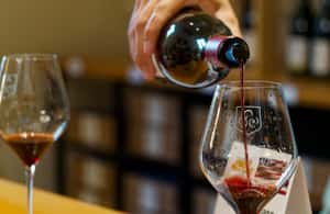 billede nr.4 af aktiviteten Avignon: Heldagstur til Châteauneuf du Pape-vine og Luberon i Lacoste, uploadet af udbyder