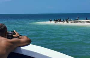 pilt nr 3/Cancun: Cancunc: 3 saartel Snorkel seiklus: 3 saartel Snorkel seiklus tegevusest Quintana Roo, üles laadinud tarnija