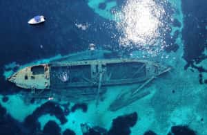 Obraz nr 4 z atrakcji Zadar: rejs wycieczkowy z lunchem na plażę Sakarun i wyspę Dugi w Veli Rat, przesłany przez organizatora