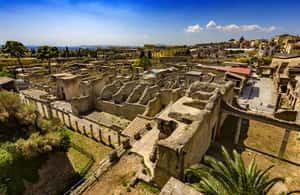 billede nr.3 af aktiviteten Pompeji, Herculaneum og Vesuv heldagstur i Pompei, Campania, uploadet af udbyder