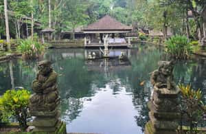 image n.3 of Bali: Historical Cultural Tour and Water Temple Purification activity in Ubud, uploaded by supplier