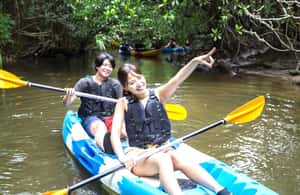 image n.3 of Iriomote island: Mangrove River SUP or Canoe Cruising Tour activity in Taketomi Island, uploaded by supplier