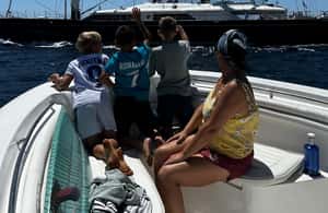 image n.3 of Boat trip with full of activities - bay of Gibraltar activity in Tarifa, uploaded by supplier