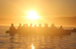 image n.4 of Kaikōura: Kayak Sunset Tour with Seal Sightings activity in Kaikoura, uploaded by supplier