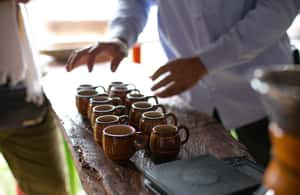 imagem n.3 de Medellín: Tour do café, chegada a cavalo e cana-de-açúcar atividade em Medellín, carregada pelo fornecedor