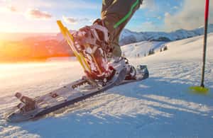 image n.3 of Abisko: Wilderness Snowshoe Hike activity in Norrbotten County, uploaded by supplier